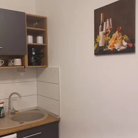 Onix-vital Apartment *